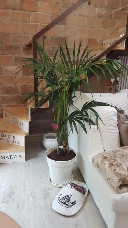 Loft Giuly Appartement Vignanello Buitenkant foto